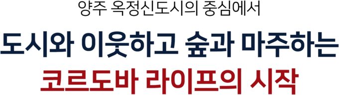 코르도바 라이프의 시작