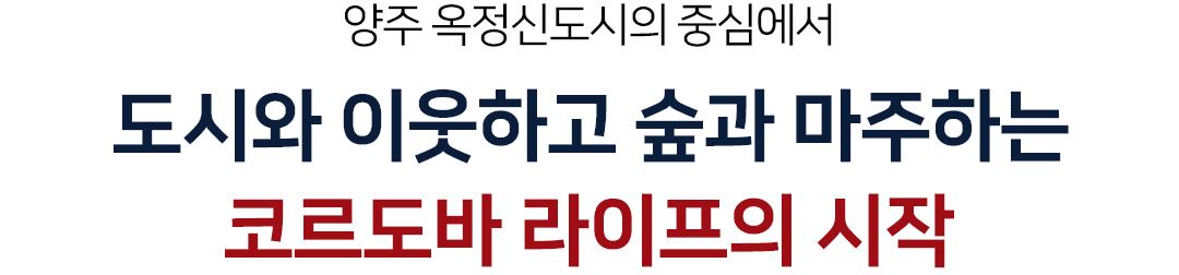 코르도바 라이프의 시작